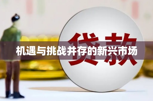 安县机遇与挑战并存的新兴市场