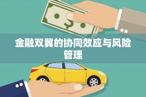 安县金融双翼的协同效应与风险管理